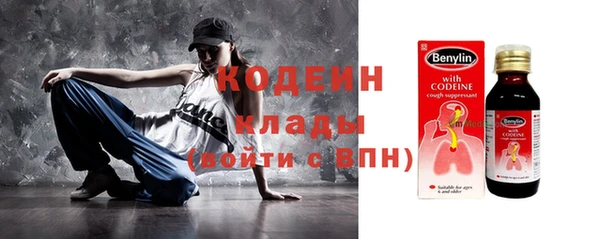 прущий лед Бородино