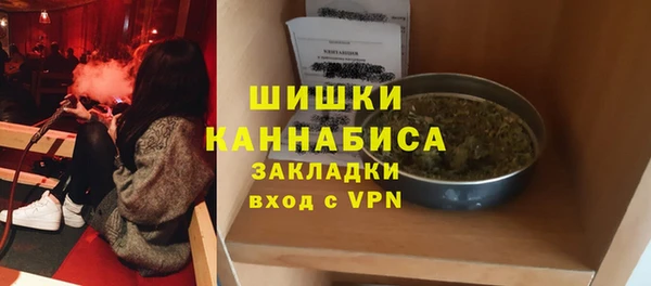 прущий лед Бородино