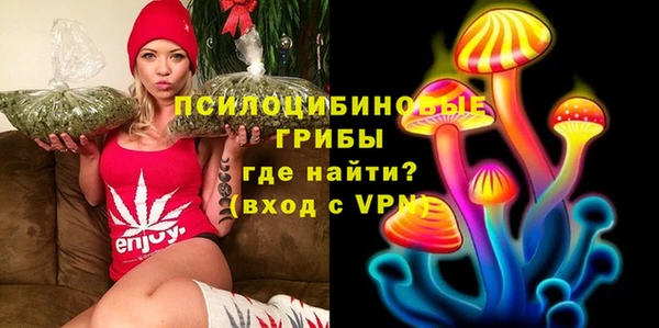 прущий лед Бородино