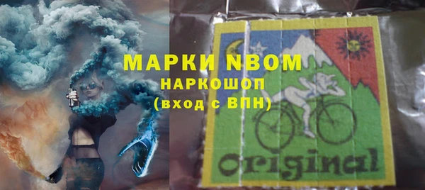 прущий лед Бородино