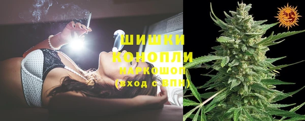 гидра Бронницы